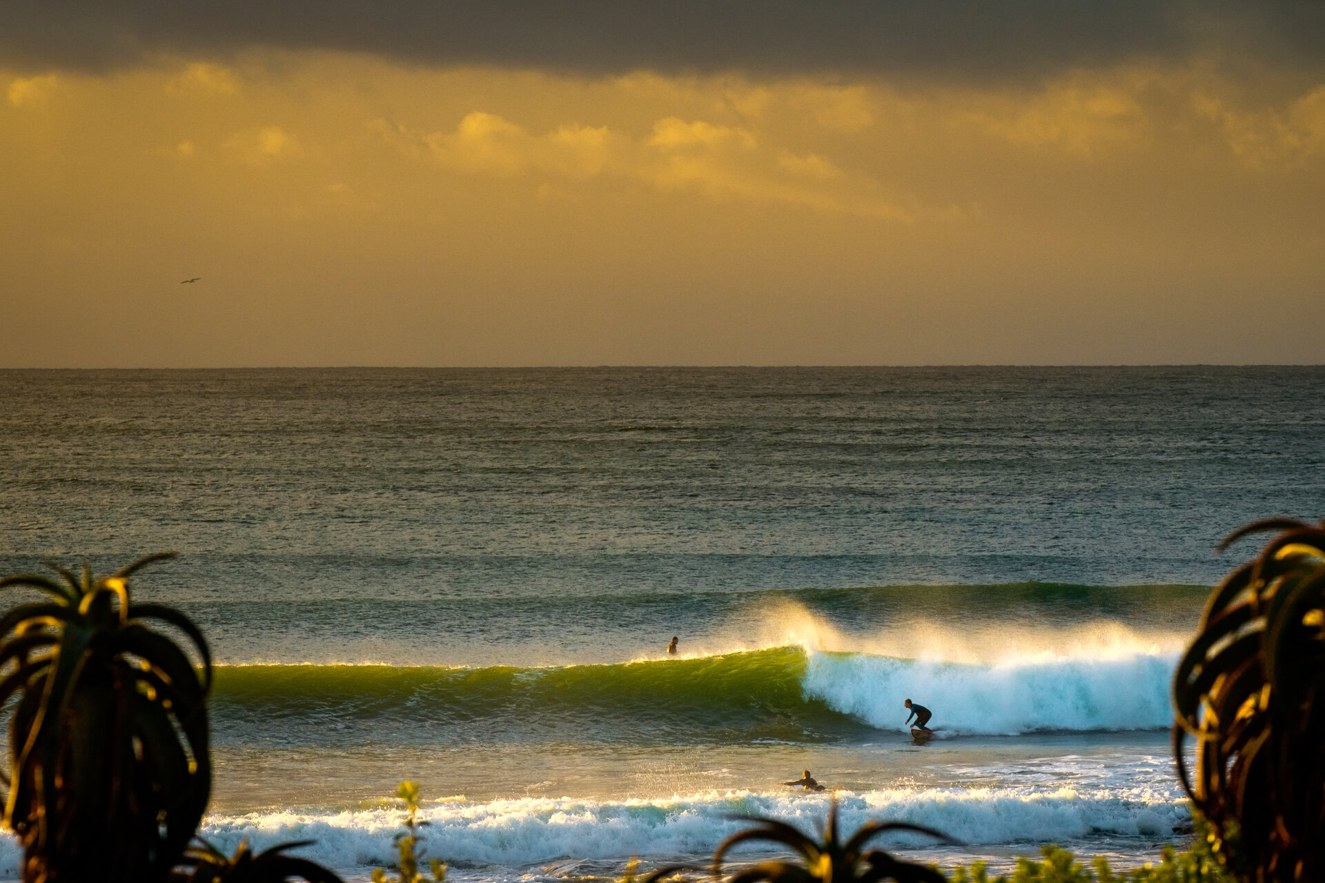 A Beautiful View of Jeffreys Bay Beach Showing 4 Reasons Why You Need To Visit Jeffreys Bay